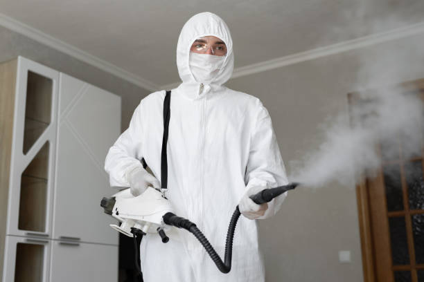 Best Biohazard Mold Removal in Provo, UT